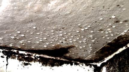 Prylen upptäcker dolda fuktskador